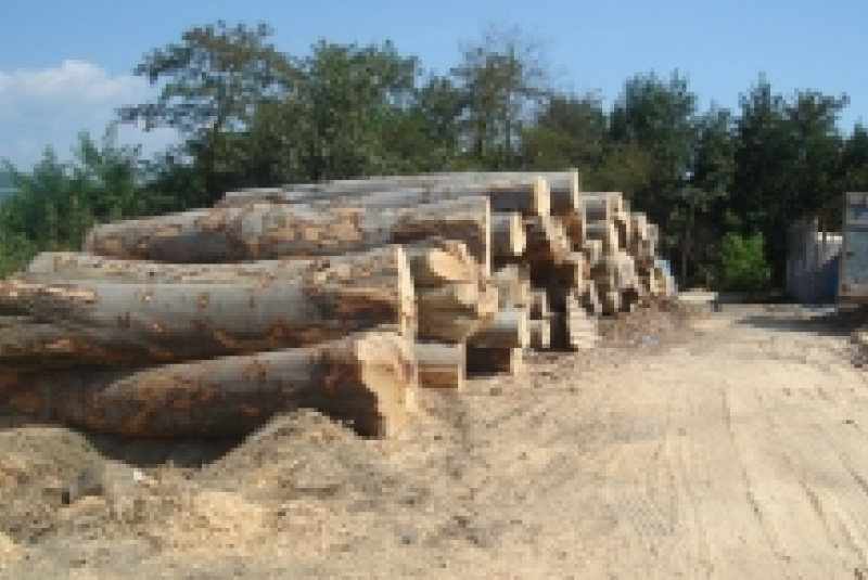 Čo vyrábame Čo vyrábame